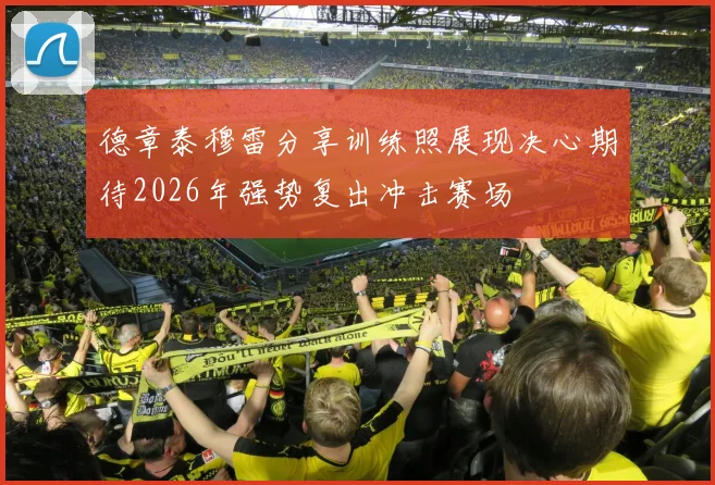 德章泰穆雷分享训练照展现决心期待2026年强势复出冲击赛场
