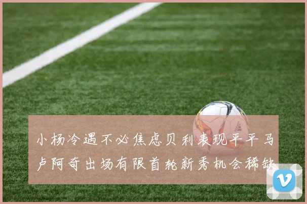 小杨冷遇不必焦虑贝利表现平平马卢阿奇出场有限首轮新秀机会稀缺