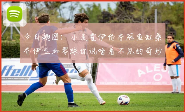 今日趣图：小麦霍伊伦夺冠鱼缸桑乔伊兰加零球你说啥看不见的奇妙瞬间