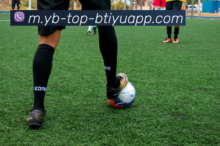 B体育APP 封面图